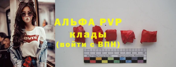 прущие крисы Алзамай