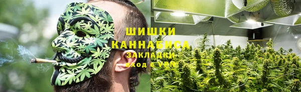 прущие крисы Алзамай