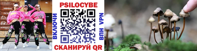 Галлюциногенные грибы Psilocybe  МЕГА   Тейково 