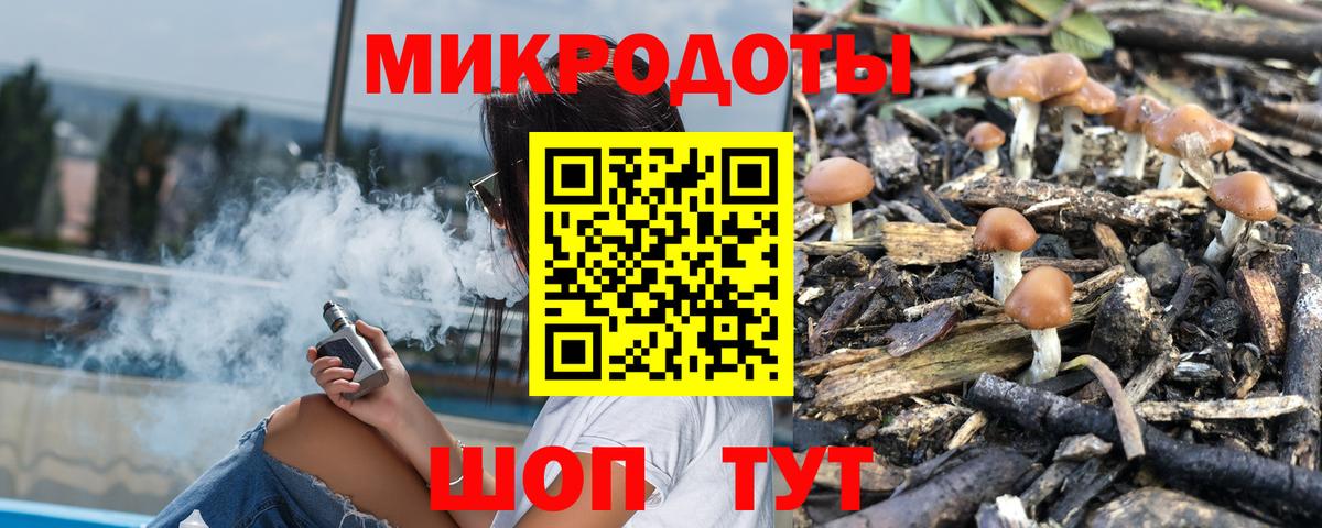Псилоцибиновые грибы GOLDEN TEACHER Тейково