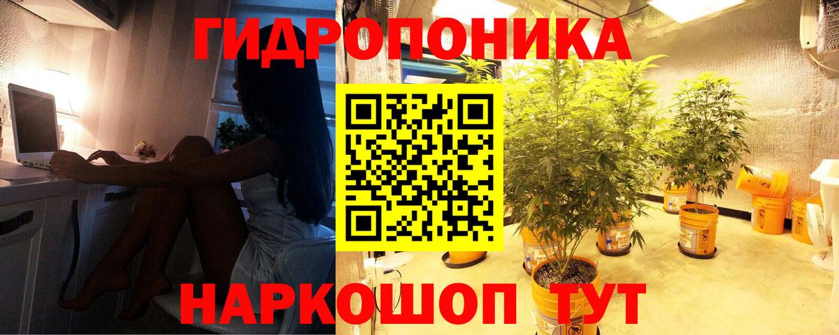 Конопля VHQ Тейково
